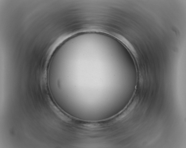 X0000113911388200910081841