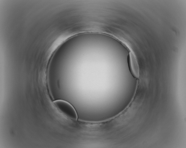 X0000113911389200910081841