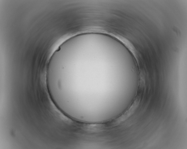 X0000113911390200910081841