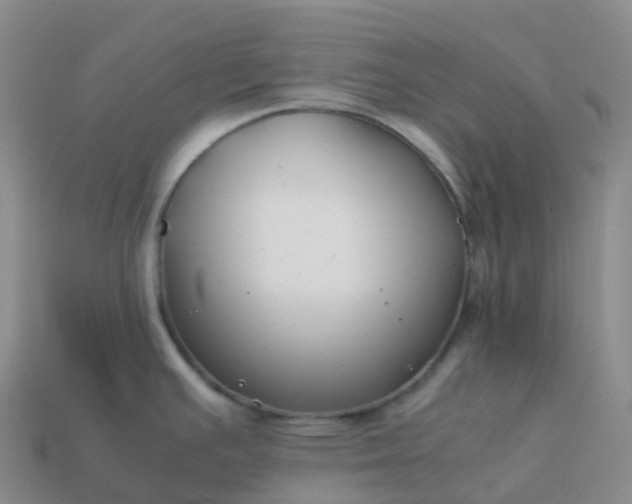 X0000113911391200910081841