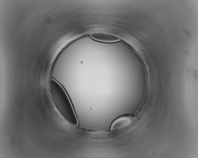 X0000113911392200910081841