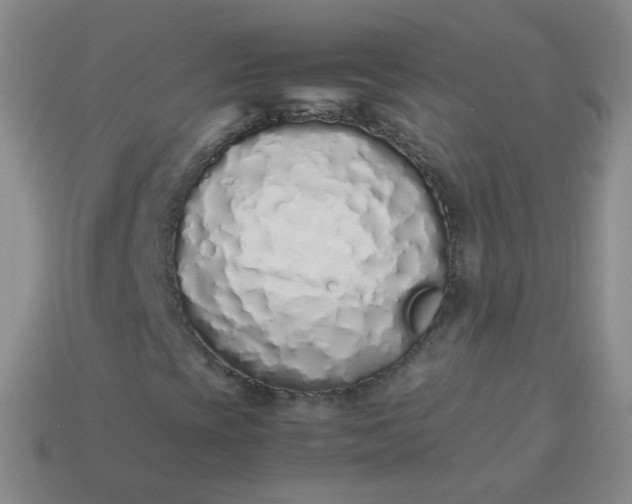 X0000113911393200910081840