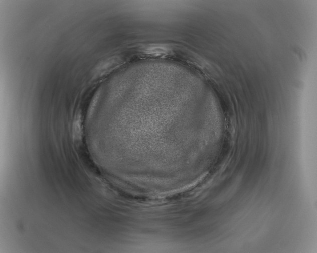 X0000113911394200910081840