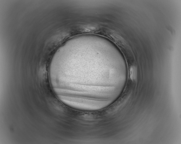 X0000113911395200910081840