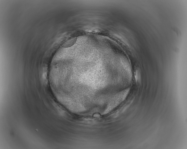 X0000113911396200910081840