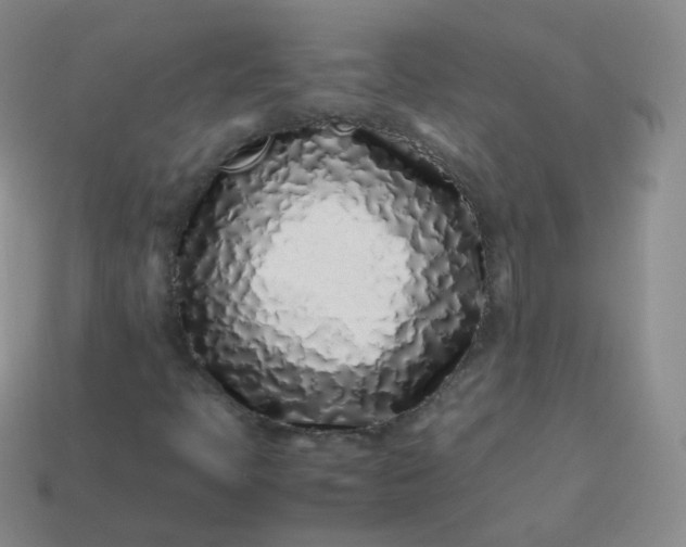 X0000113911397200910081840