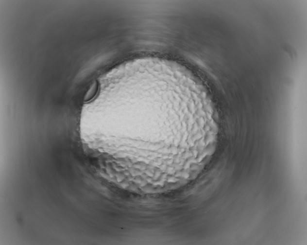 X0000113911399200910081840