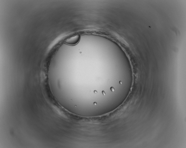 X0000113911400200910081840