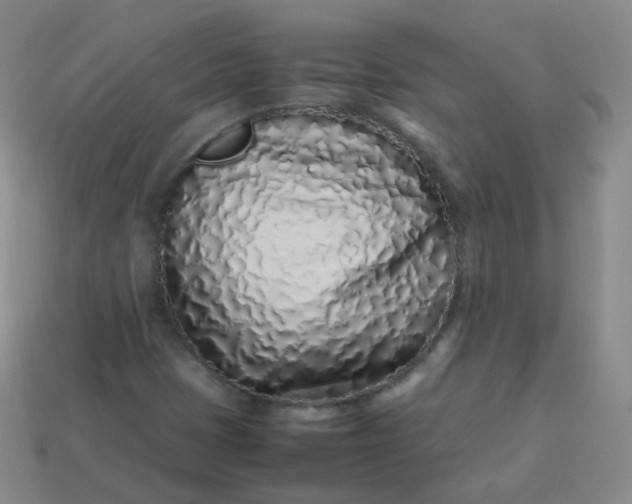 X0000113911401200910081840