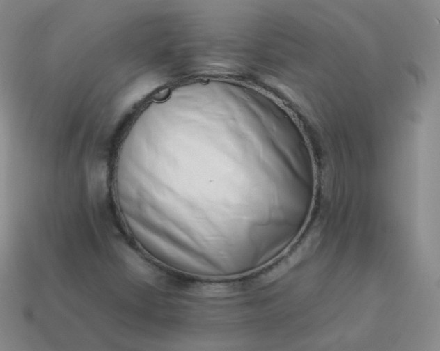 X0000113911402200910081840