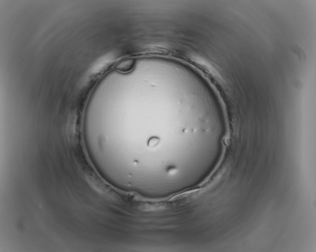 X0000113911403200910081840