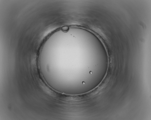 X0000113911404200910081840