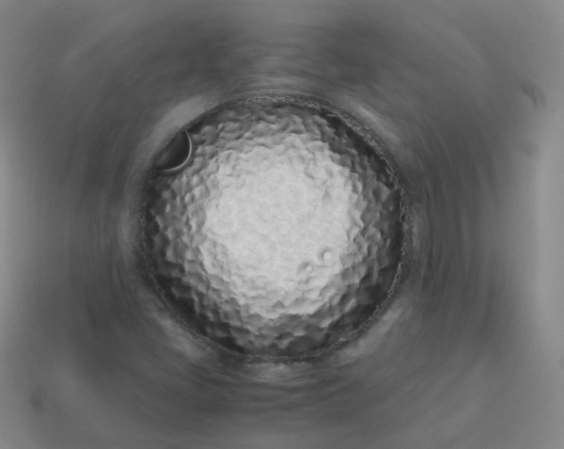 X0000113911405200910081840