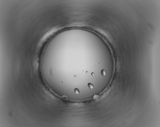 X0000113911406200910081840