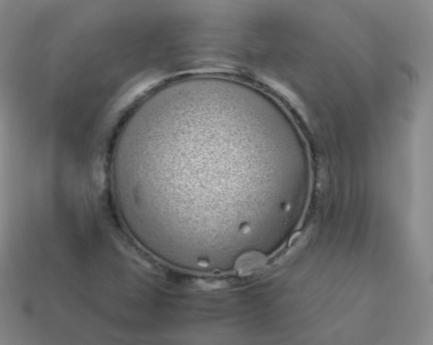 X0000113911407200910081840