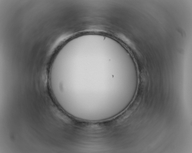 X0000113911408200910081840