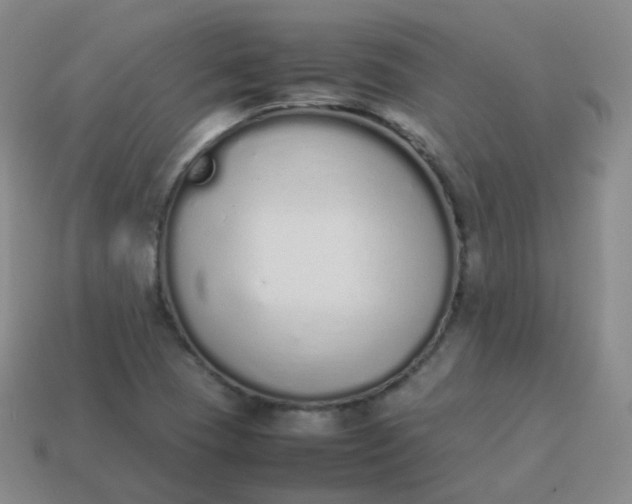 X0000113911409200910081840