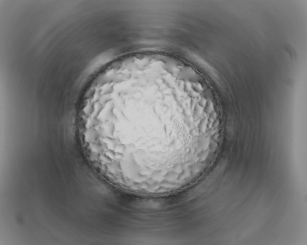 X0000113911411200910081840