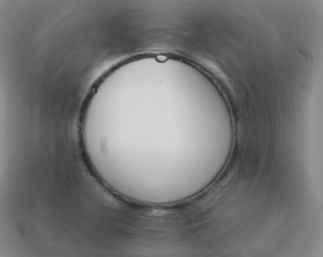 X0000113911412200910081840