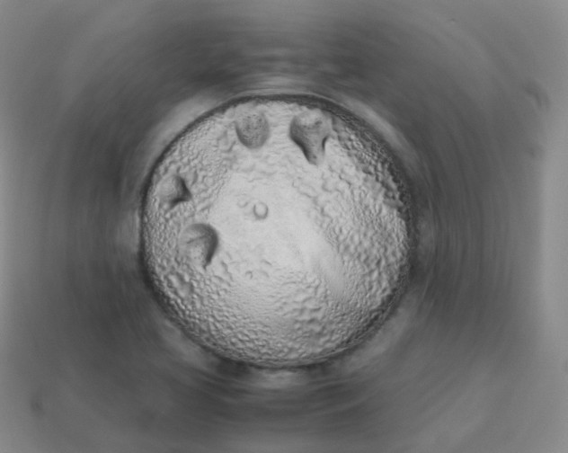 X0000113911413200910081840