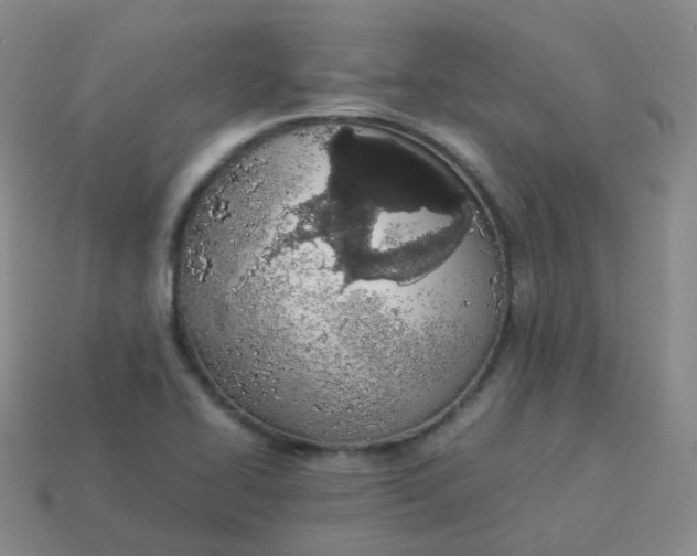 X0000113911414200910081840