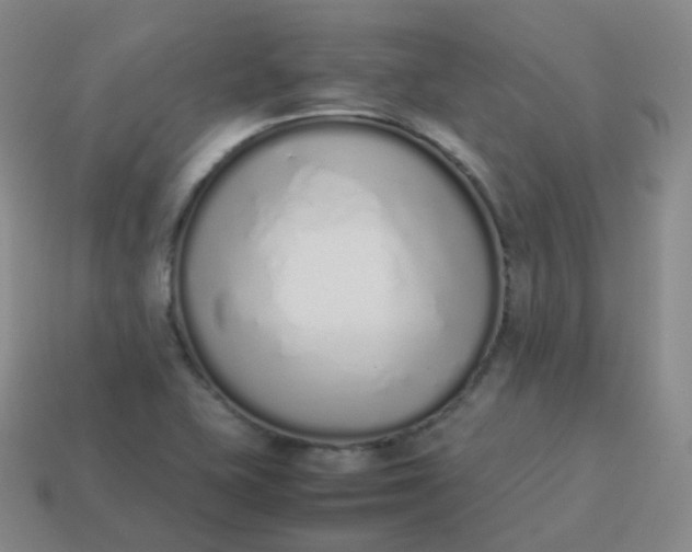 X0000113911415200910081840