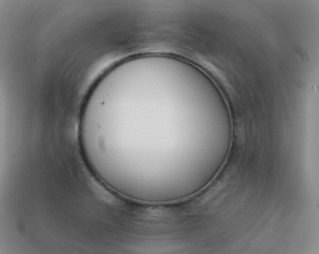 X0000113911416200910081840