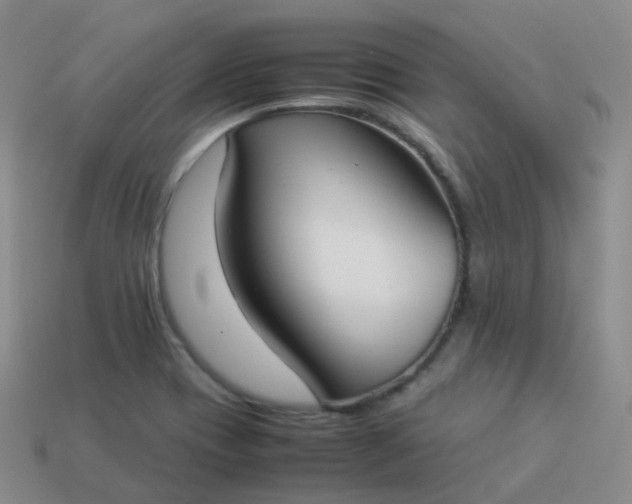 X0000113911417200910081840