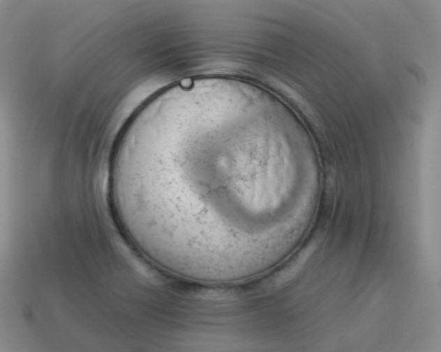 X0000113911418200910081840