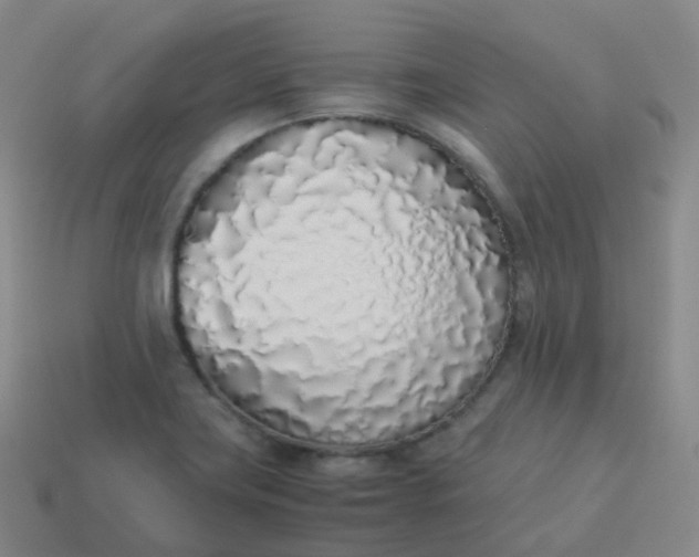 X0000113911419200910081840