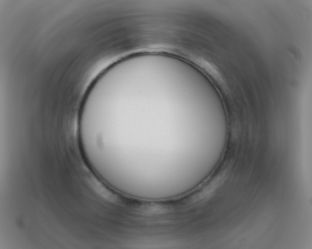 X0000113911420200910081840