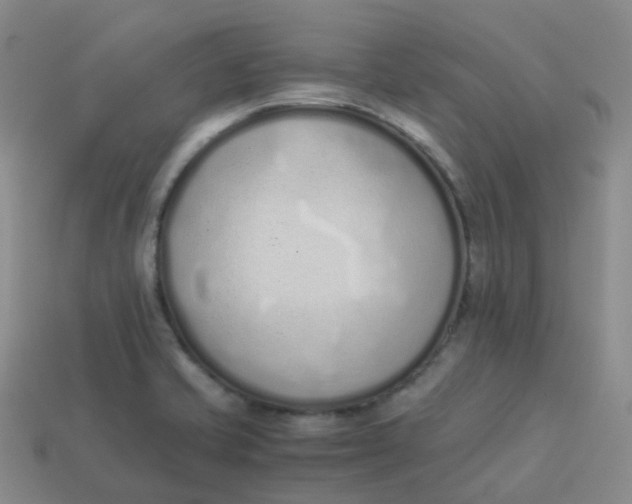 X0000113911421200910081840