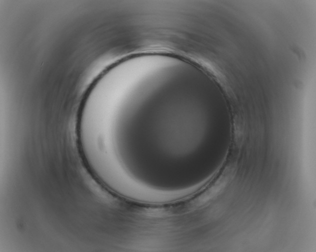 X0000113911422200910081840