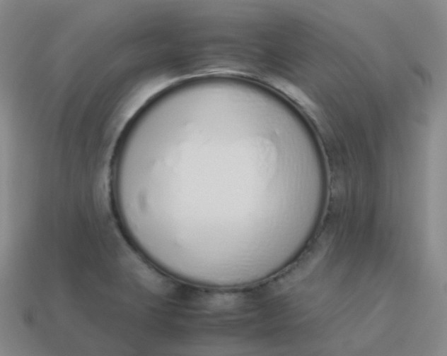 X0000113911423200910081840