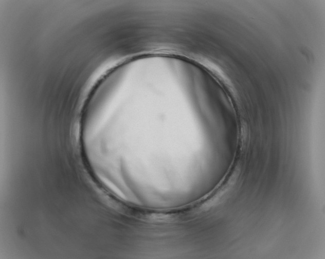 X0000113911424200910081840