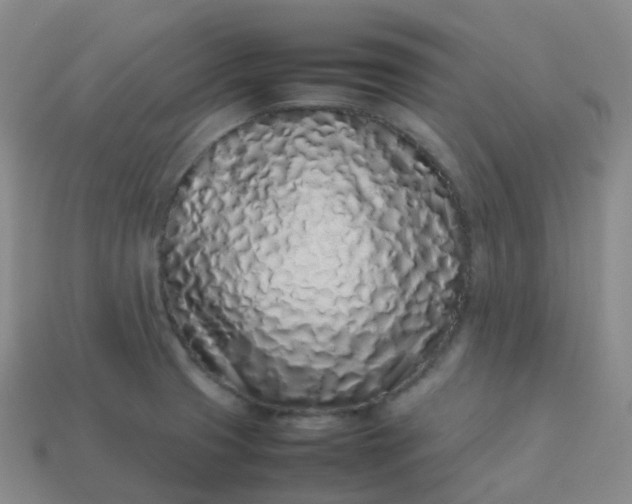 X0000113911425200910081840