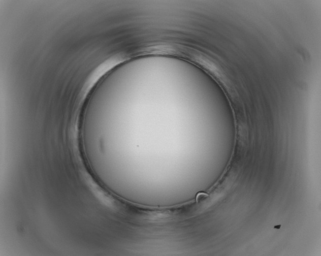 X0000113911426200910081840