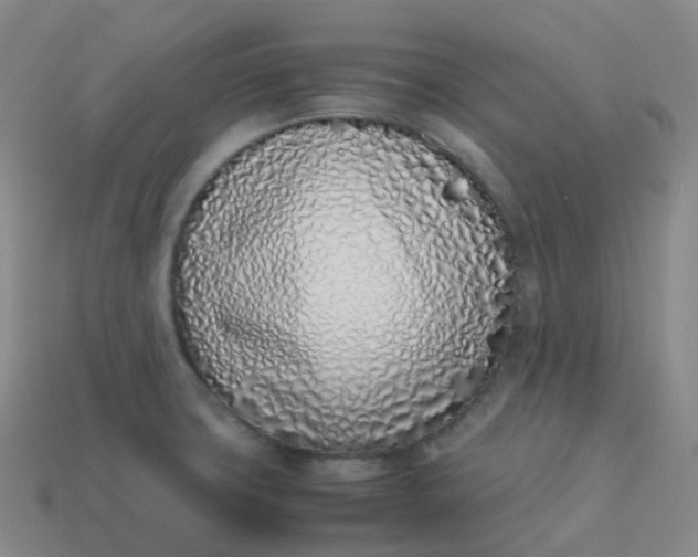 X0000113911427200910081840