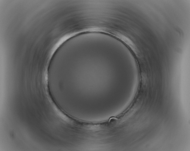 X0000113911428200910081840