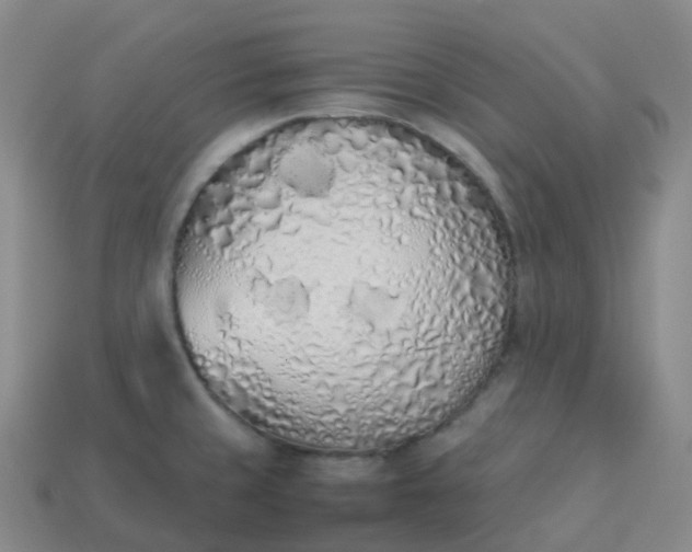 X0000113911429200910081840