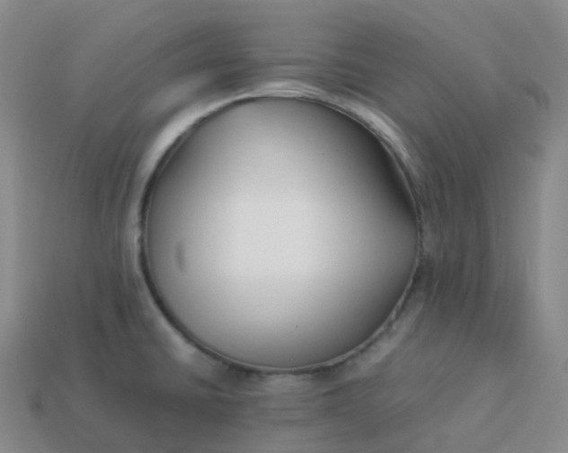 X0000113911430200910081840