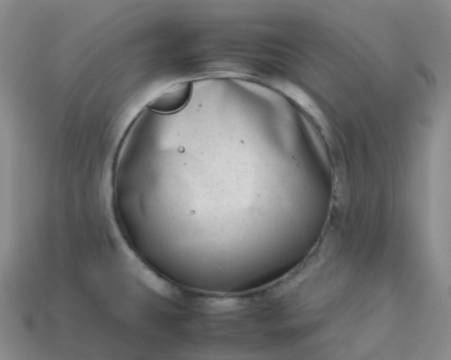 X0000113911431200910081840