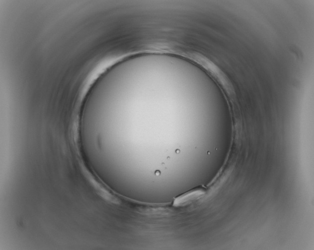 X0000113911432200910081840