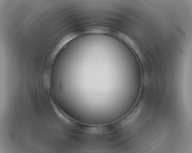 X0000113911433200910081840