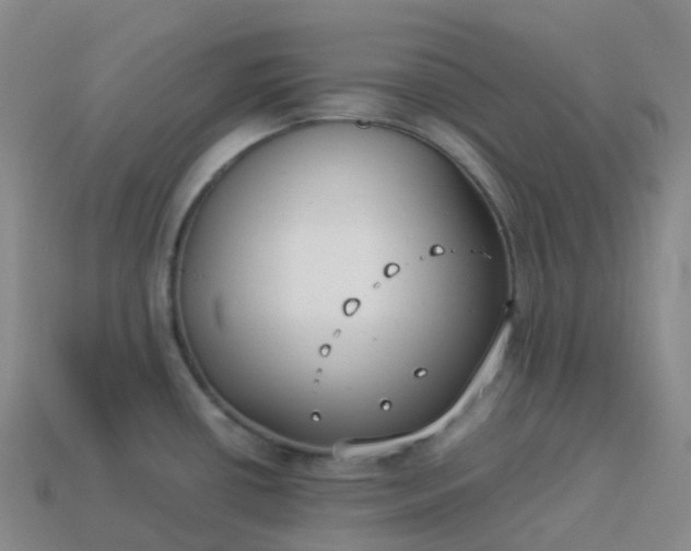 X0000113911434200910081840