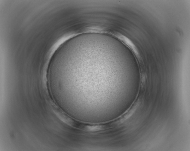 X0000113911435200910081840