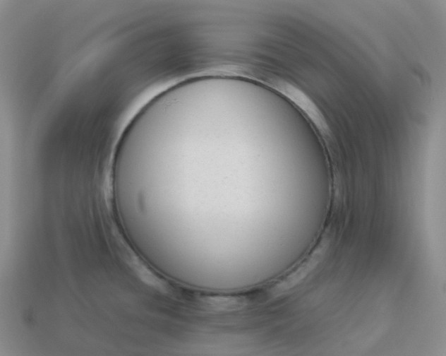 X0000113911436200910081840