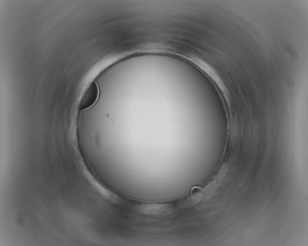 X0000113911437200910081840