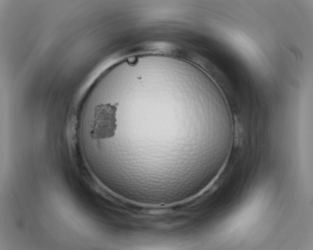 X0000113911438200910081840