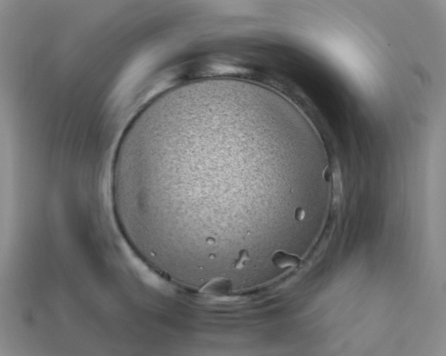 X0000113911439200910081841